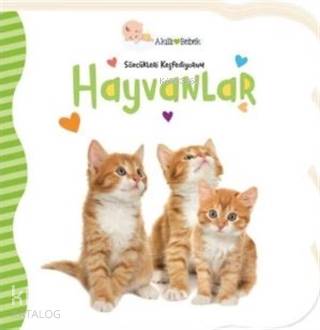  Hayvanlar Sözcükleri Keşfediyorum | Hayvanlar Sözcükleri Keşfediyorum | Gökçe Demir | E Bahar Düzen | Beta Kids | 9786052427873 