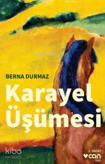 Karayel Üşmesi | Berna Durmaz | Can Yayınları | 9789750729973 | 