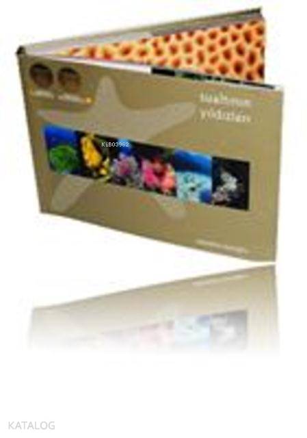  Sualtının Yıldızları | Alptekin Baloğlu | İlke Kitap | 9789758416042 | 