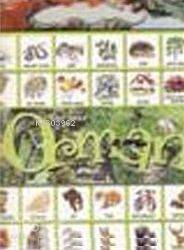  Orman Oku Yap Boz Oyna | Anna Casalis | Marsık Yayıncılık | 9789759020736 | 