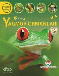 Yaşam Döngüsü: Yağmur Ormanları; Yeryüzü Ekosistemlerini Keşfedelim