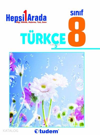 8. Sınıf Türkçe