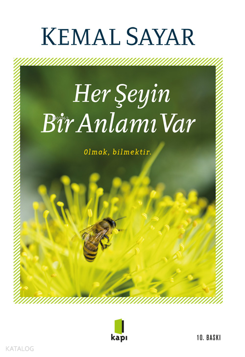  Her Şeyin Bir Anlamı Var | Her Şeyin Bir Anlamı Var | Kemal Sayar | Füsun Turcan Elmasoğlu | Didem Unal | Kapı Yayınları | 9789752448575 