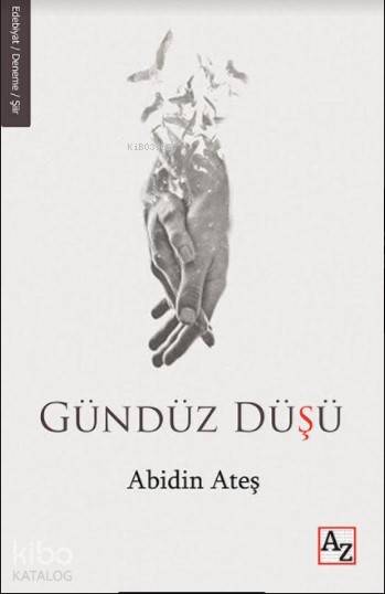  Gündüz Düşü | Abidin Ateş | Lilay Koradan | M Endülüs Özbay | Az Kitap | 9789752441637 | 