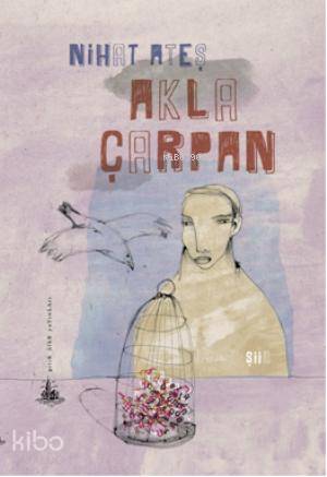  Akla Çarpan | Nihat Ateş | Yitik Ülke Yayınları | 9786054841042 | 