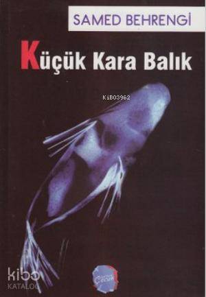  Küçük Kara Balık | Samed Behrengi | Muhammed Rıza Goçi | Berikan Yayınları | 9789752677401 | 