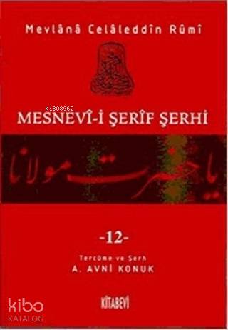 Mesnevi-i Şerif Şerhi Cilt: 12