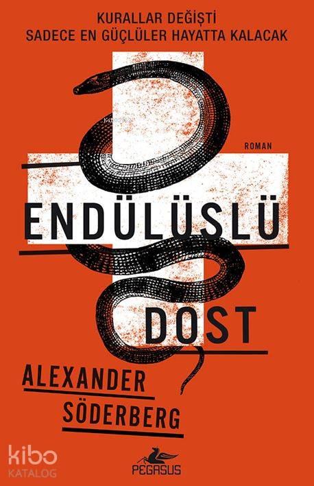  Endülüslü Dost | Dilek Yücel | Meral Gök | Alexander Söderberg | Gültekin Yılmaz | Pegasus Yayıncılık | 9786053438038 | 