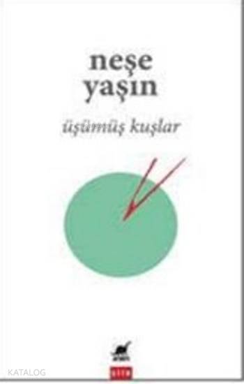 Üşümüş Kuşlar
