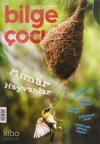  Bilge Çocuk Dergisi Sayı 33 Mayıs 2019 | Kolektif | Bilge Çocuk Dergisi | 2770000024792 | 