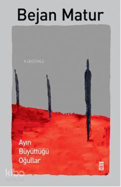  Ayın Büyüttüğü Oğullar | Bejan Matur | Timaş Yayınları | 9786051148113 