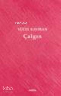  Çalgın | Çalgın | Yücel Kayıran | Metis Yayıncılık | 9789753425651 