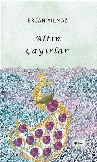  Altın Çayırlar | Altın Çayırlar | Ercan Yılmaz | Ayşe Ural | Şule Yayınları | 9786052199404 