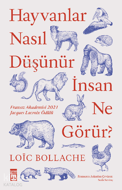  Hayvanlar Nasıl Düşünür İnsanlar Ne Görür | Hayvanlar Nasıl Düşünür İnsanlar Ne Görür | Loic Bollache | Seda Sevinç | Timaş Yayınları | 9786050845006 