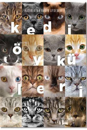  Kedi Öyküleri | Kadir Aydemir | Eda Alpaykut | Yitik Ülke Yayınları | 9786059782883 | 
