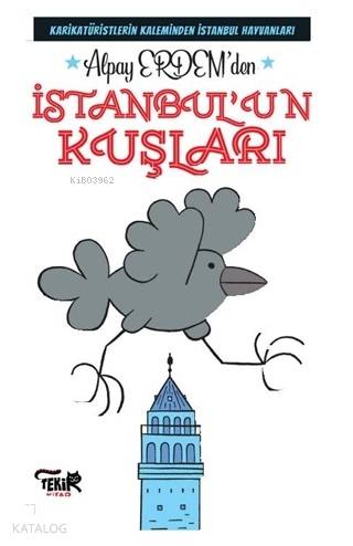  İstanbulun Kuşları | İstanbulun Kuşları | Alpay Erdem | Tekir Kitap | 9786056910715 