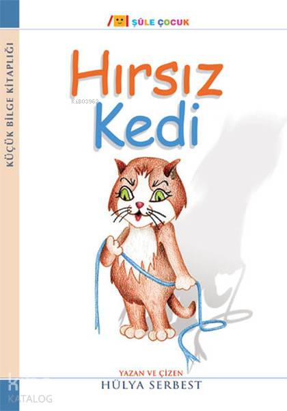Hırsız Kedi