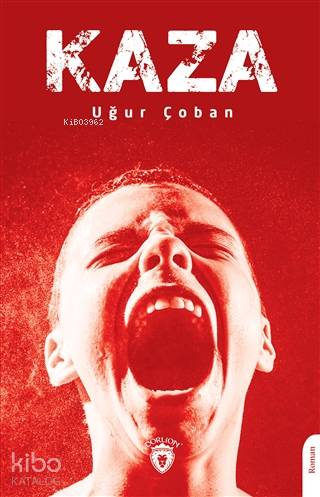  Kaza | Uğur Çoban | Dorlion Yayınevi | 9786254070105 | 