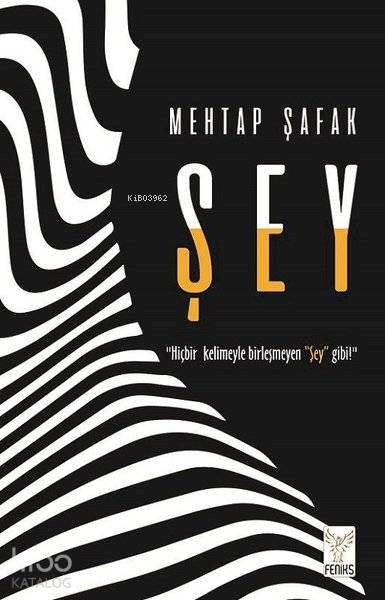  Şey | Mehtap Şafak | Feniks Kitap | 9786056998447 | 