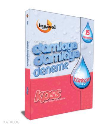 2016 KPSS Damlaya Damlaya Deneme Türkçe