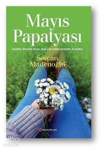 Mayıs Papatyası