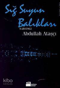  Sığ Suyun Balıkları | Abdullah Ataşçı | Doğan Kitap | 9789752934795 | 
