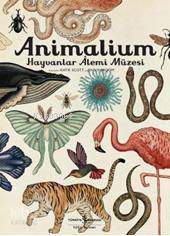  Animalium Hayvanlar Alemi Müzesi (Ciltli) | Animalium Hayvanlar Alemi Müzesi (Ciltli) | Çağlar Sunay | Katie Scott | Jenny Broom | Katie Scott Jenny Broom | Türkiye İş Bankası Kültür Yayınları | 9786053324409 